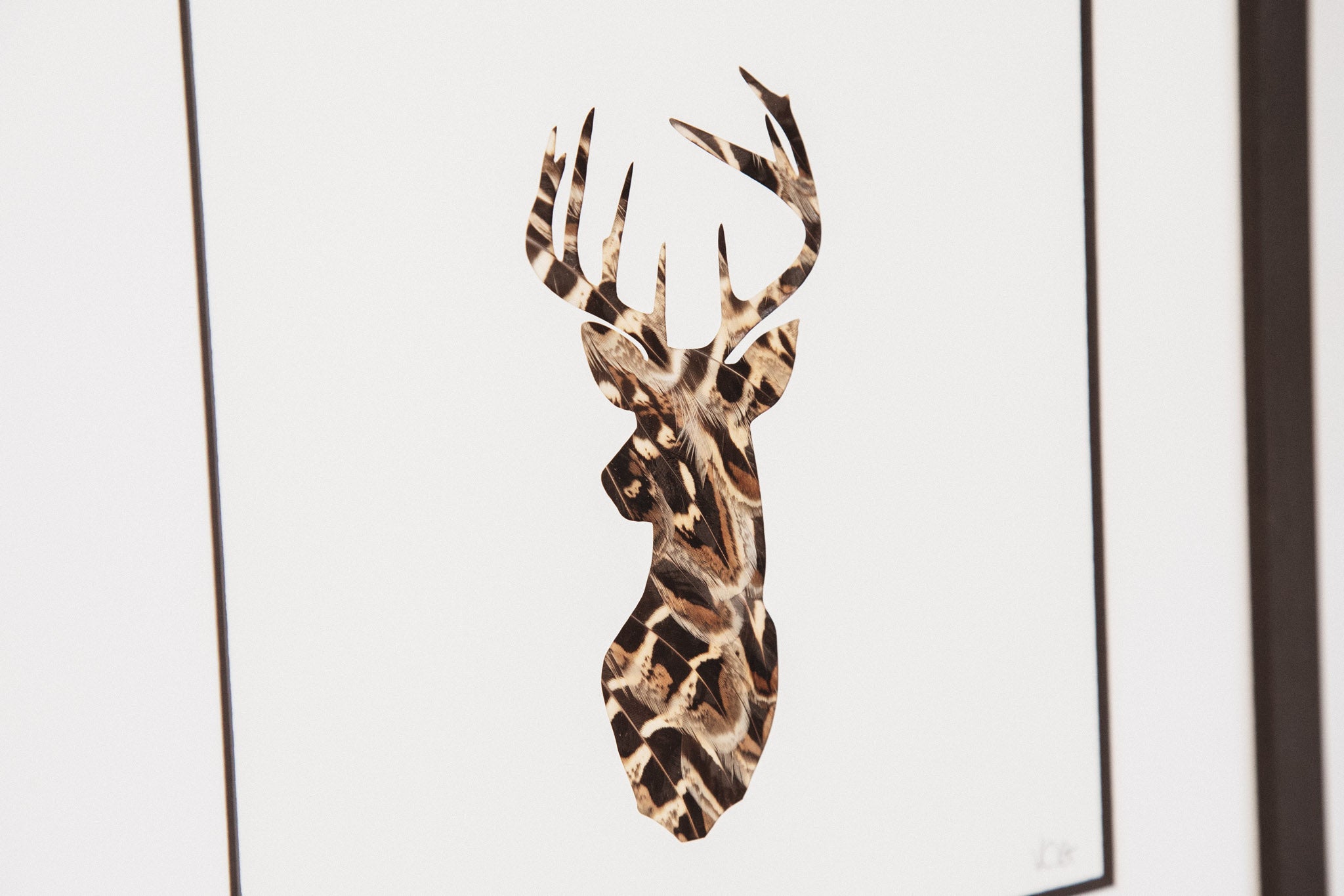 Stag
