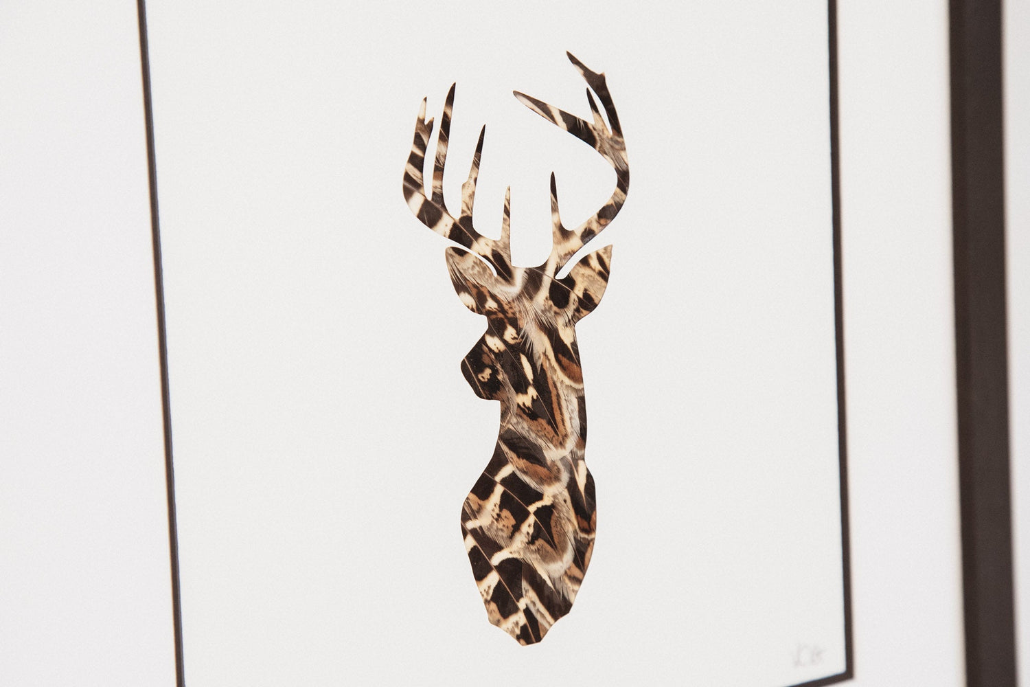 Stag