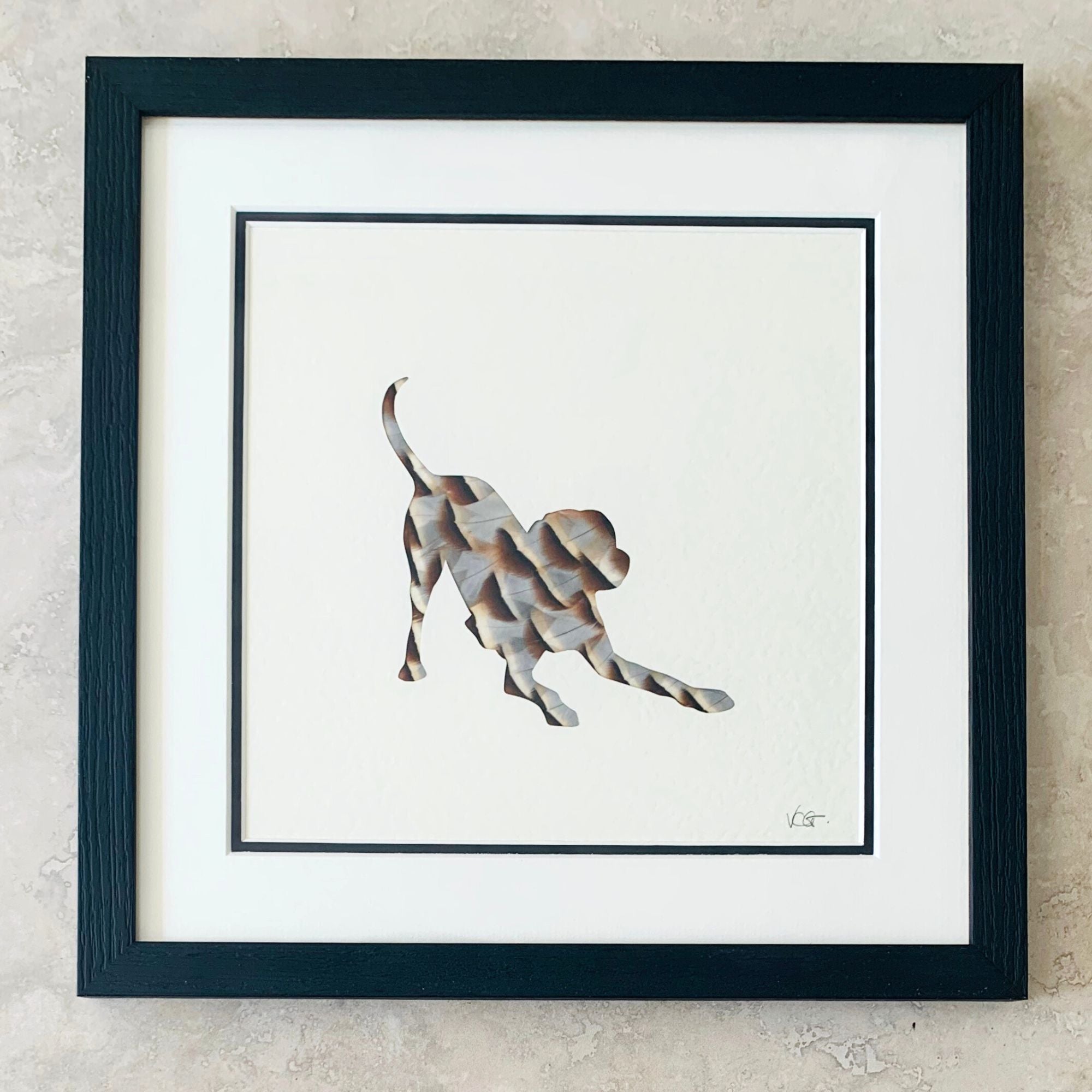 Playful Labrador