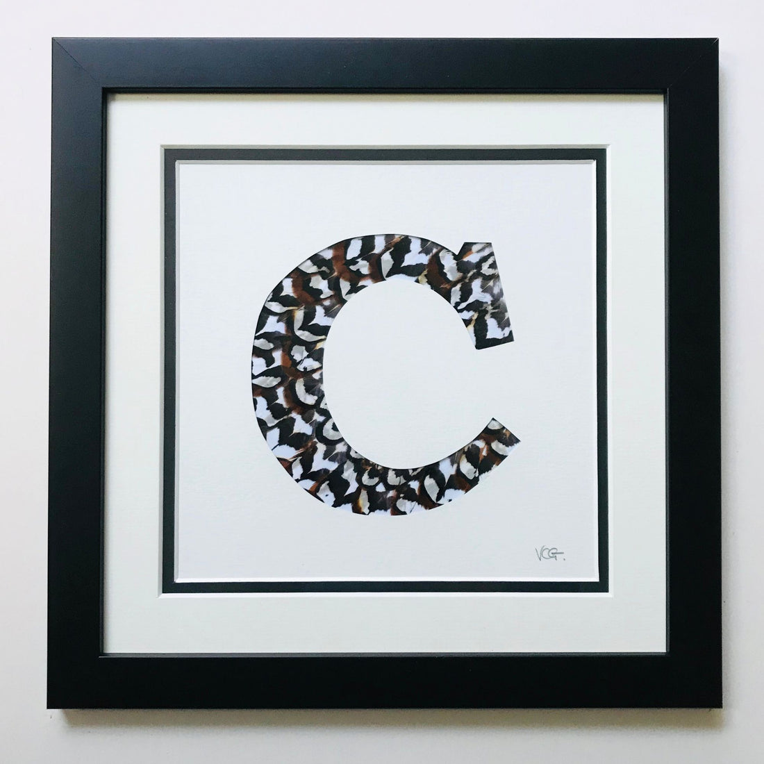Letter, Number or Symbol