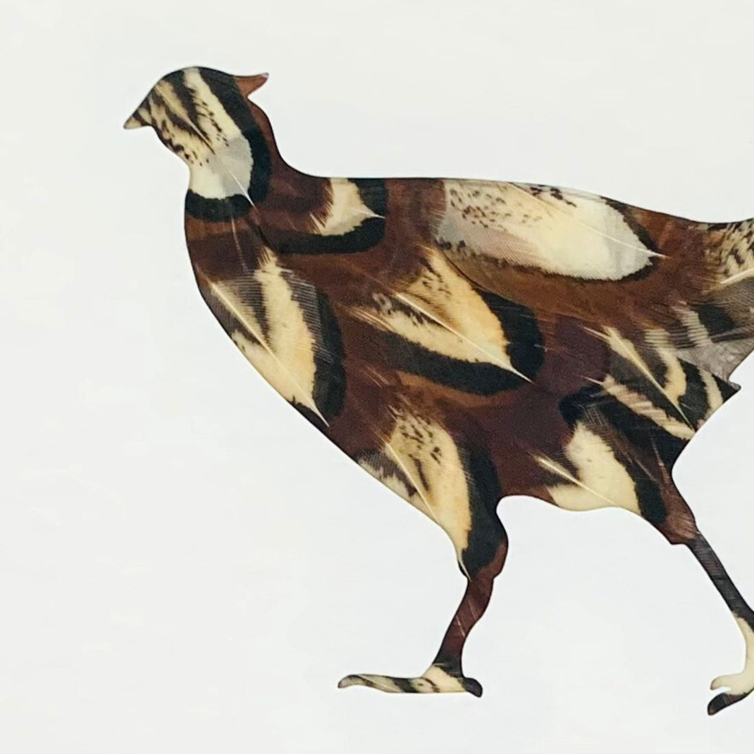 Walking Pheasant
