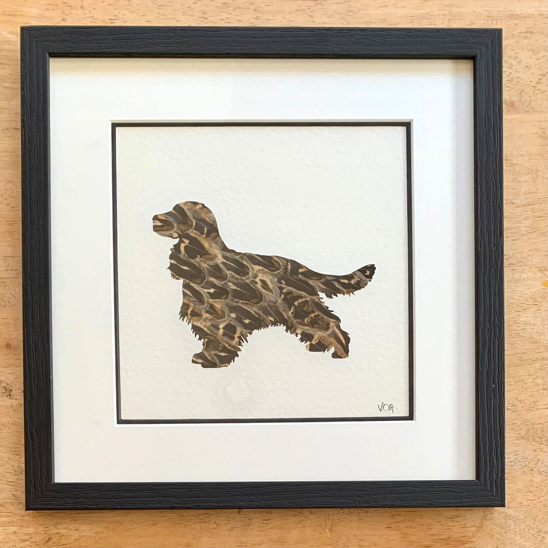 Show Cocker Spaniel